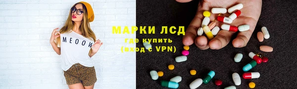 гидра Михайловск