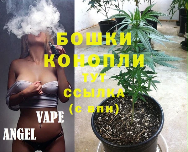 гидра Михайловск