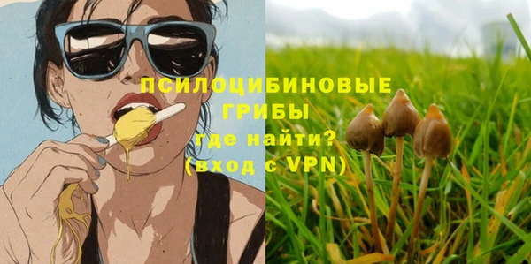 PSILOCYBIN Снежногорск