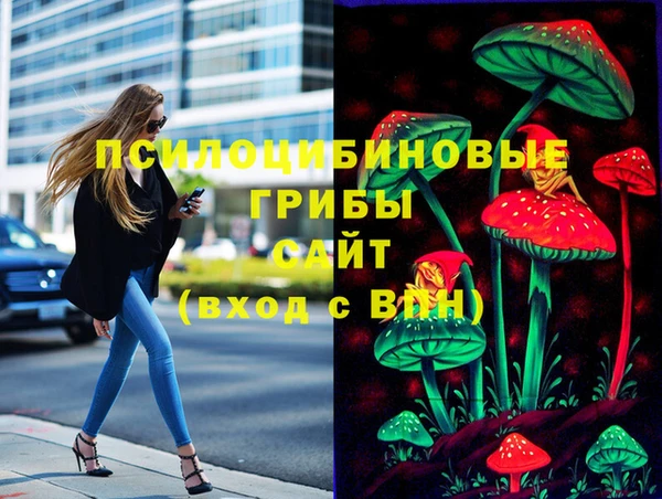 гидра Михайловск